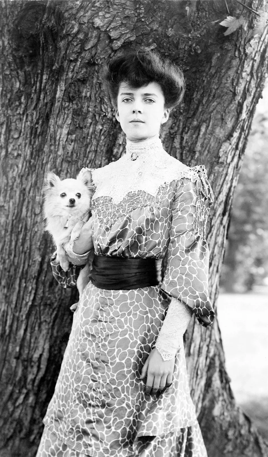 Alice Roosevelt with her Pekingese lion dog, photographed by Frances Benjamin Johnston, 1902