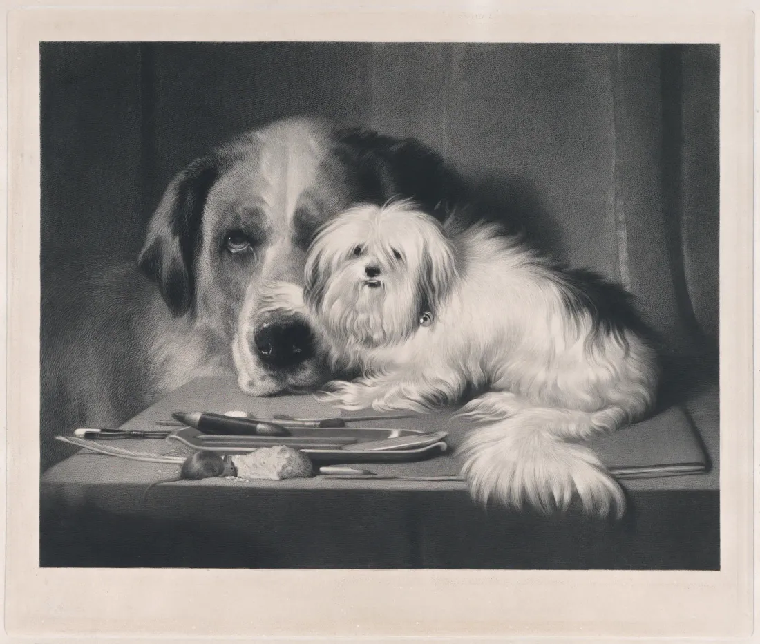 The Lion-Dog of Malta, The Last of His Tribe, lithograph by Thomas McLean after Landseer, about 1825