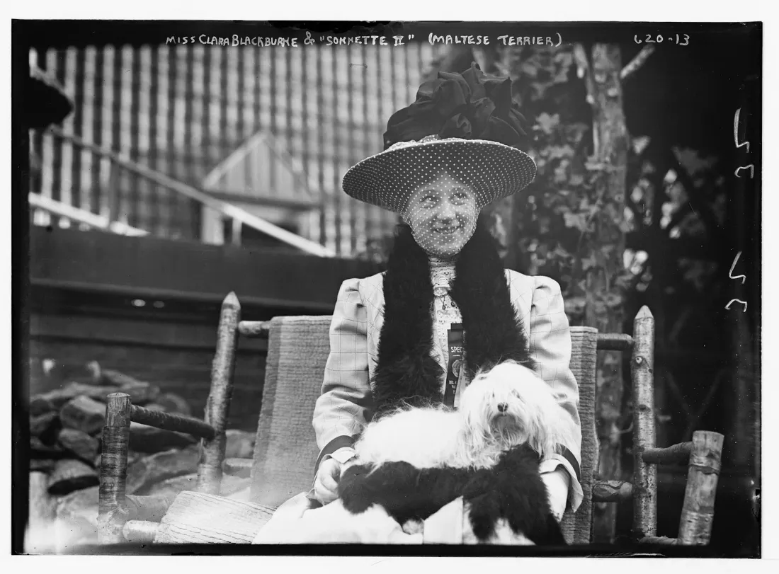 Miss Clara Blackburne with the Maltese Terrier Sonnette II, early 1900s photograph