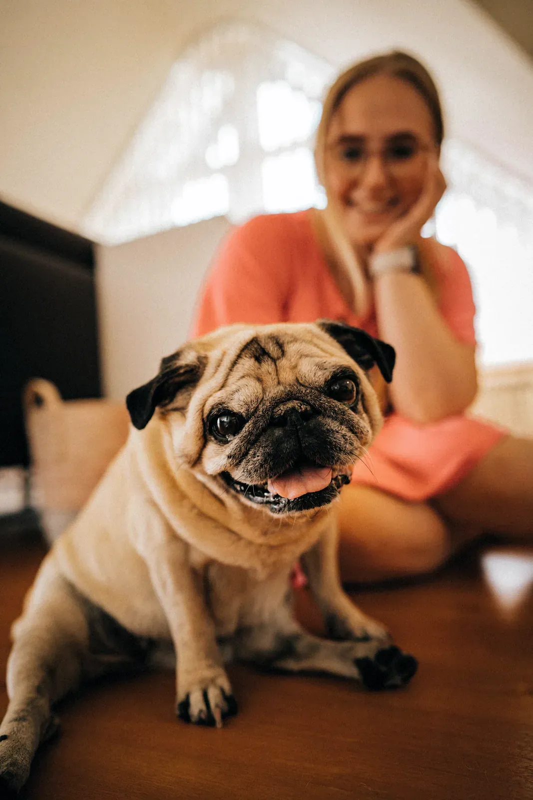 Pug sitting in front of a smiling woman at home