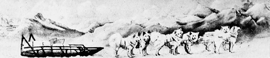 Sketch of Samoyed sledge dogs on a polar expedition, from The New Book of the Dog, 1907