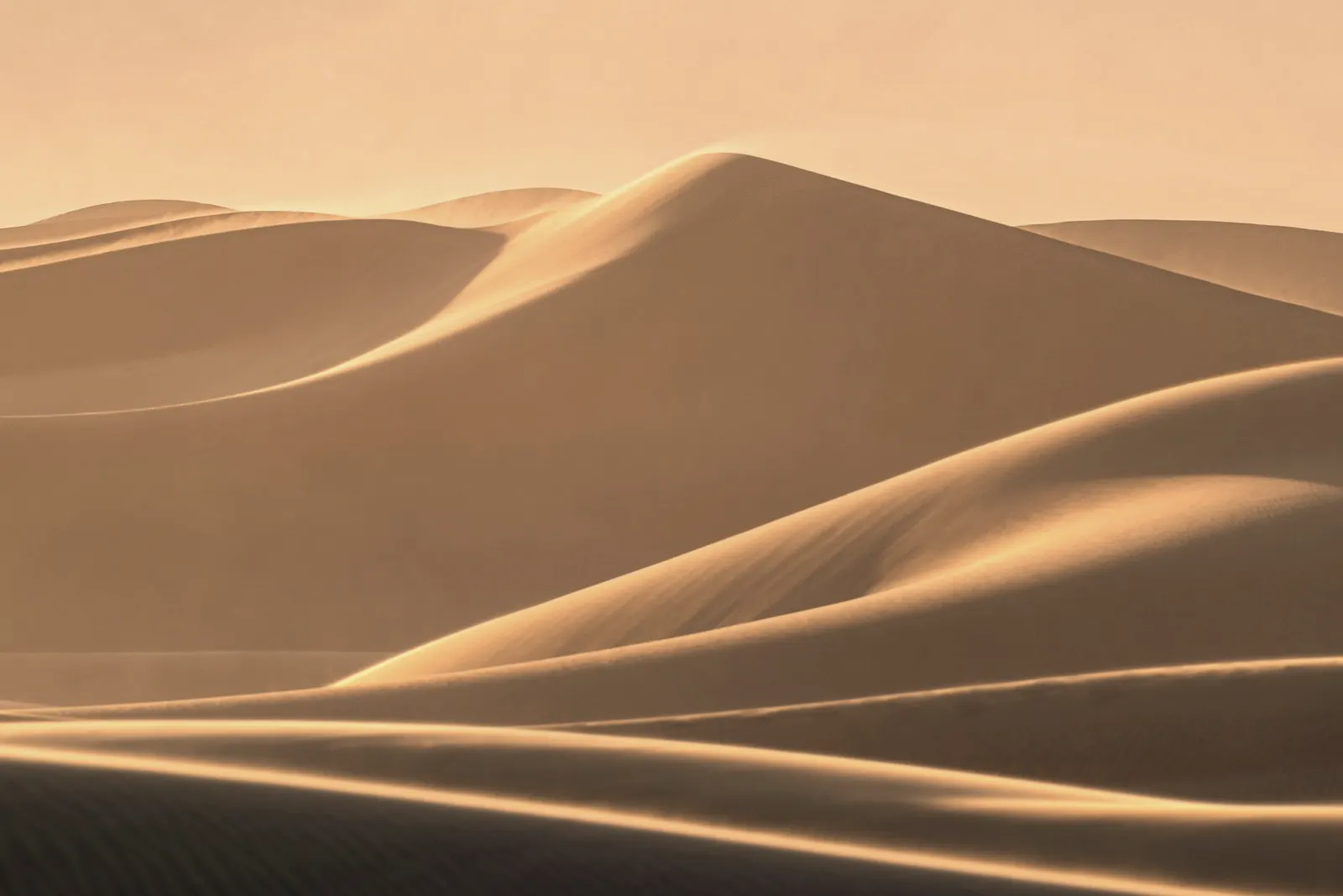 Ancient World landscape